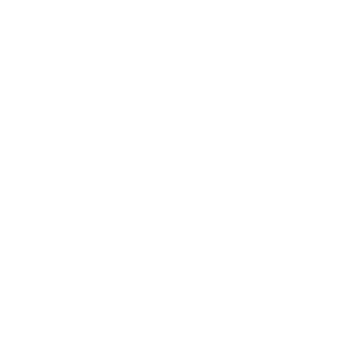 ZAM AUTO